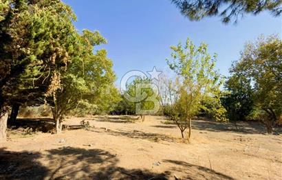 YELKİ CADDE YAKINI KİRALIK 4+1 VİLLA  VE 6.800m2 ARAZİ