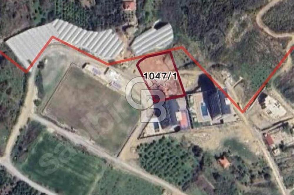 ALANYA DEMİRTAŞ MAHALLESİ 2.483m2 İMARLI KÖŞE ARSA