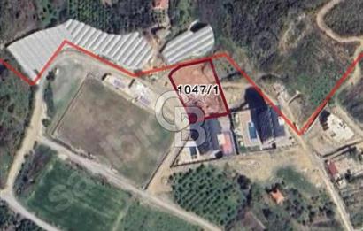 ALANYA DEMİRTAŞ MAHALLESİ 2.483m2 İMARLI KÖŞE ARSA