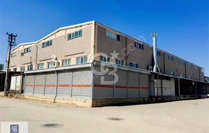 CB CLASS KİRALIK FABRİKA&İŞYERİ AĞAÇ İŞLERİ NEGÖL