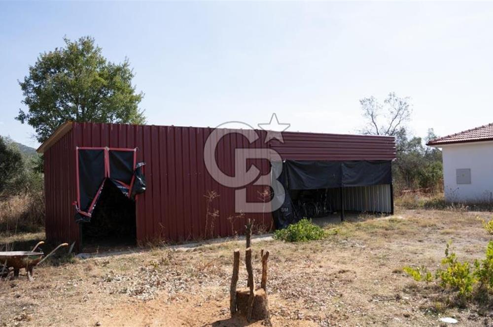 MUĞLA MENTEŞE YERKESİK’TE SATILIK 21.193,21 m² TEK TAPU