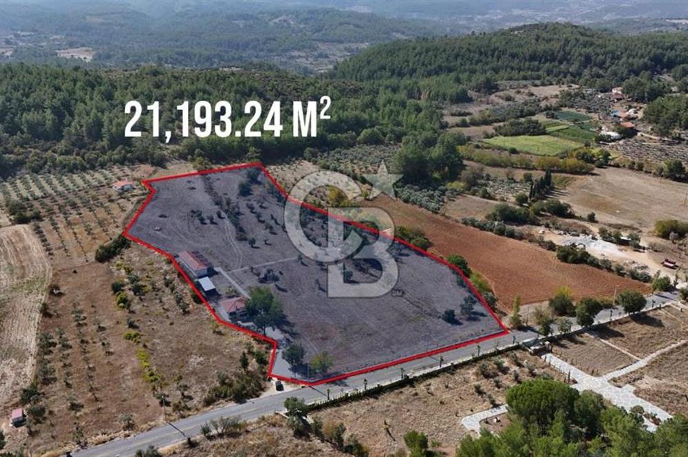 MUĞLA MENTEŞE YERKESİK’TE SATILIK 21.193,21 m² TEK TAPU
