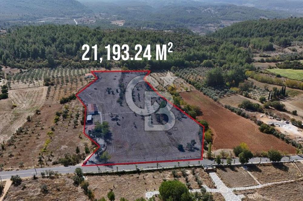 MUĞLA MENTEŞE YERKESİK’TE SATILIK 21.193,21 m² TEK TAPU