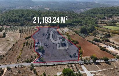 MUĞLA MENTEŞE YERKESİK’TE SATILIK 21.193,21 m² TEK TAPU