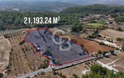 MUĞLA MENTEŞE YERKESİK’TE SATILIK 21.193,21 m² TEK TAPU