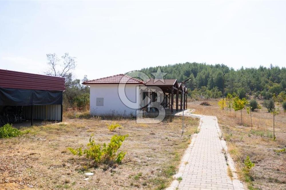 MUĞLA MENTEŞE YERKESİK’TE SATILIK 21.193,21 m² TEK TAPU