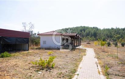 MUĞLA MENTEŞE YERKESİK’TE SATILIK 21.193,21 m² TEK TAPU