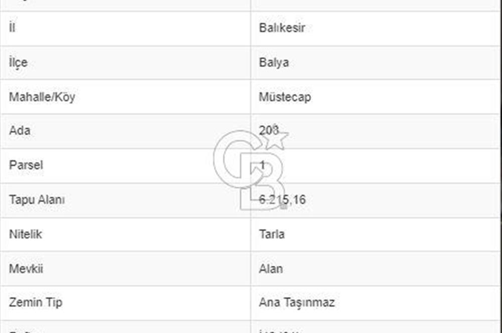 TEK TAPU TARLA -MÜSTECAP ALAN MEVKİİNDE YOLA CEPHE SATILIK TARLA