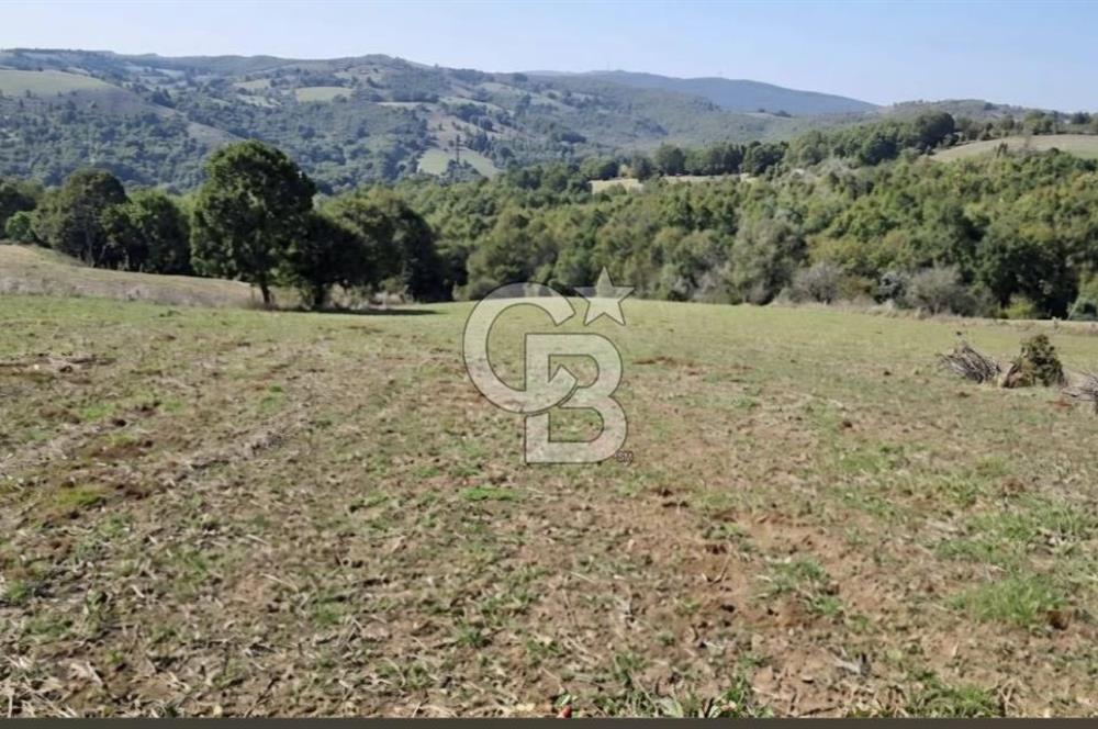 Balıkesir Karesi Taşkesiği Mahallesinde Satılık 4929 m² Tarla