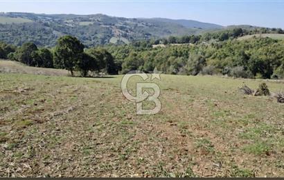 Balıkesir Karesi Taşkesiği Mahallesinde Satılık 4929 m² Tarla