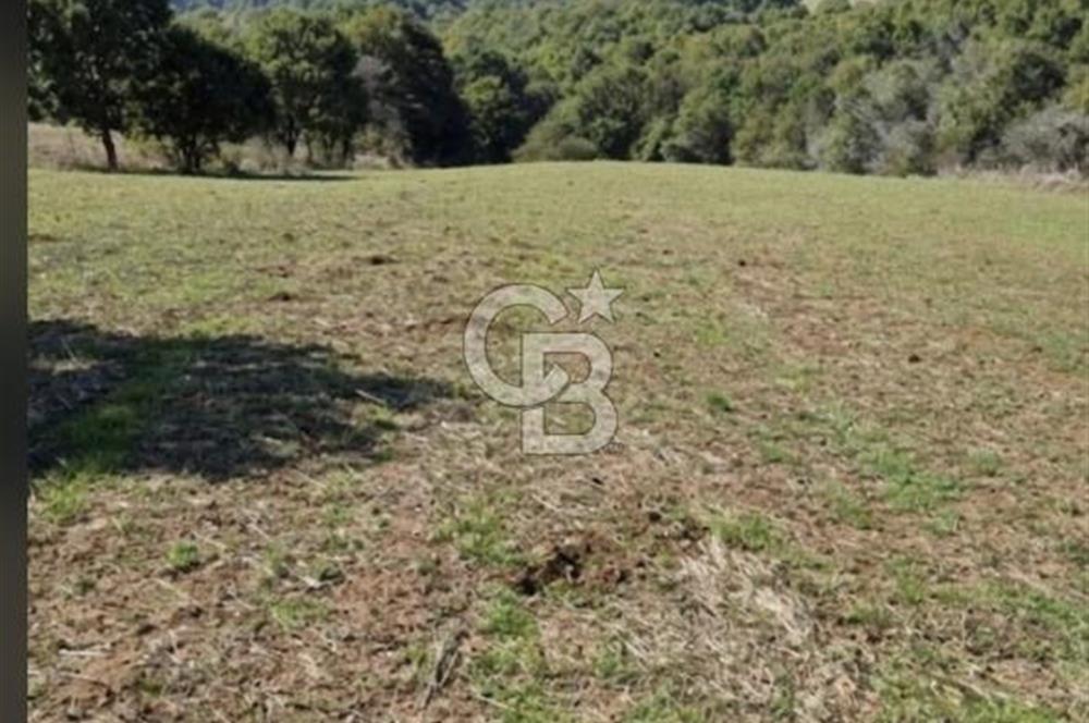 Balıkesir Karesi Taşkesiği Mahallesinde Satılık 4929 m² Tarla
