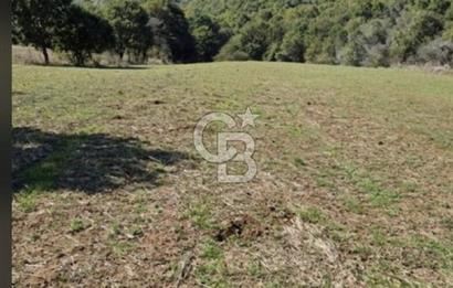 Balıkesir Karesi Taşkesiği Mahallesinde Satılık 4929 m² Tarla