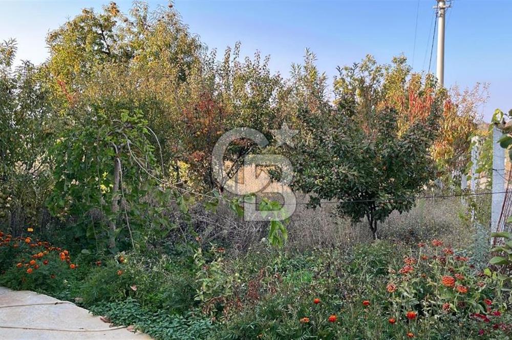 ÖDEMİŞ BIÇAKCI YAYLADA SATILIK BAHÇE İÇİNDE 2+1 MÜSTAKİL EV