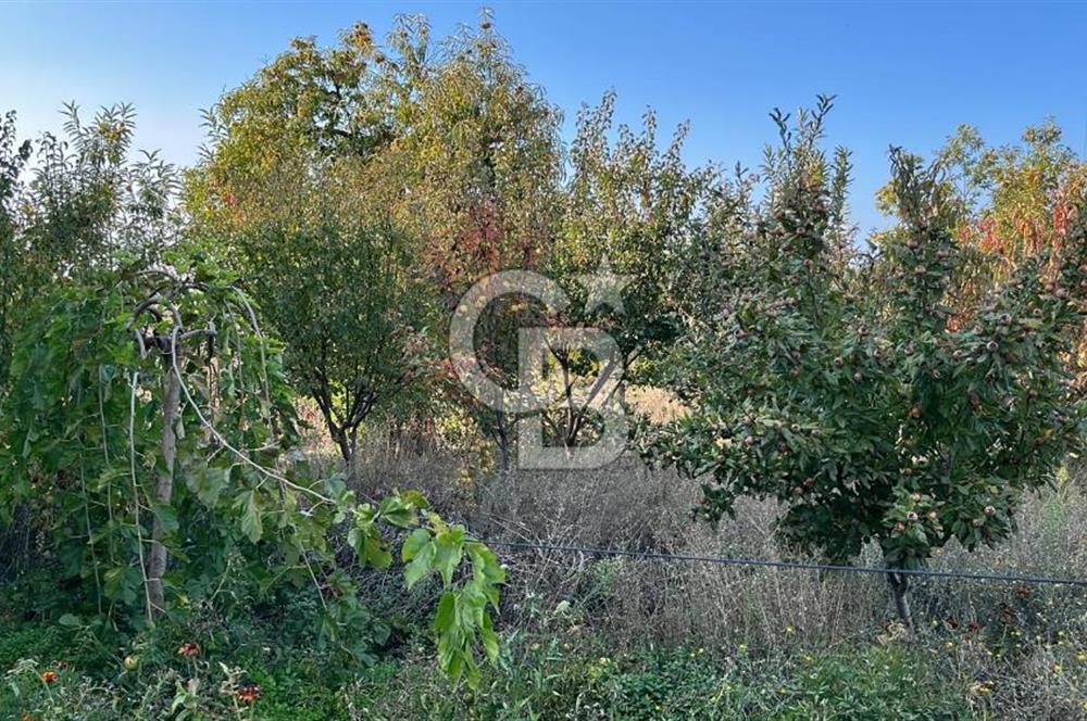 ÖDEMİŞ BIÇAKCI YAYLADA SATILIK BAHÇE İÇİNDE 2+1 MÜSTAKİL EV