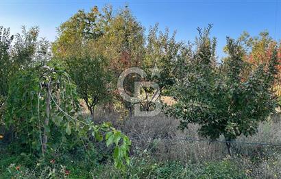 ÖDEMİŞ BIÇAKCI YAYLADA SATILIK BAHÇE İÇİNDE 2+1 MÜSTAKİL EV