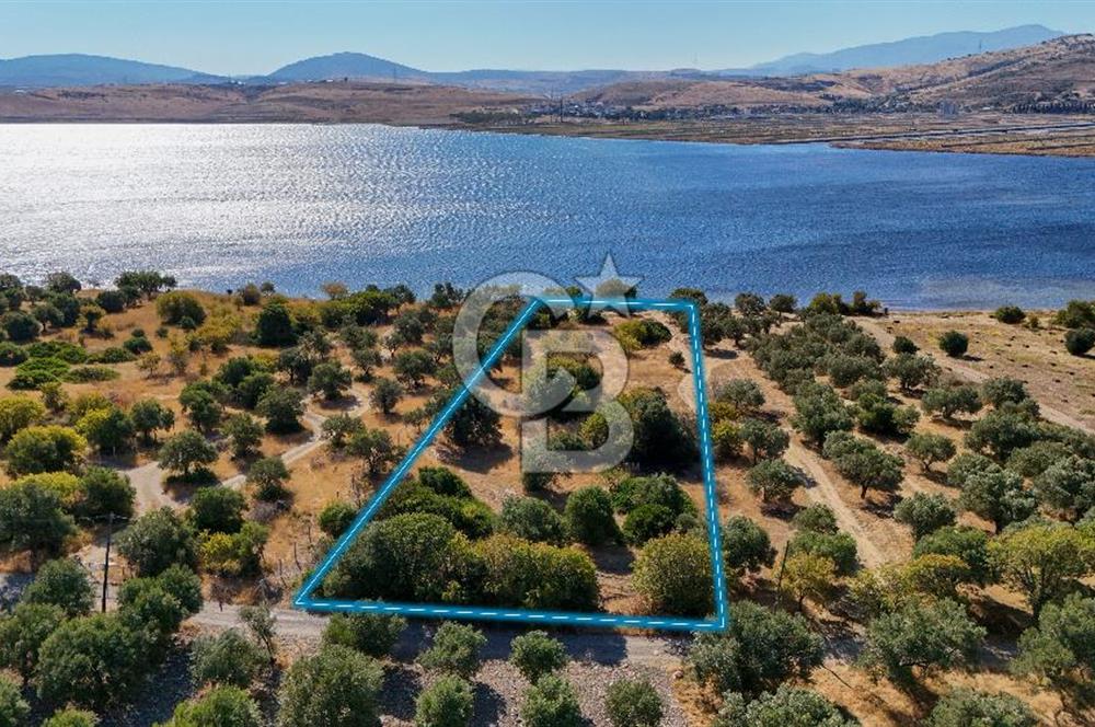 Aliağa Çaltılıdere Denize Sıfır Fiyat Avantajlı Satılık Tarla