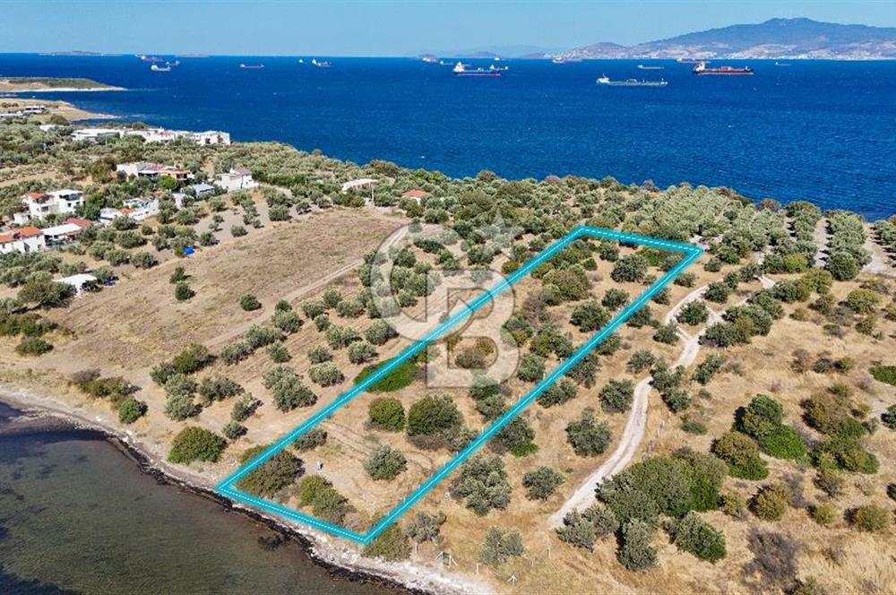 Aliağa Çaltılıdere Denize Sıfır Fiyat Avantajlı Satılık Tarla