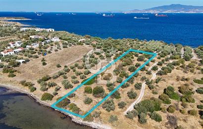 Aliağa Çaltılıdere Denize Sıfır Fiyat Avantajlı Satılık Tarla