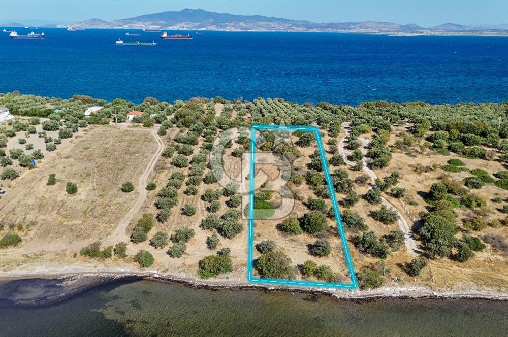 Aliağa Çaltılıdere Denize Sıfır Fiyat Avantajlı Satılık Tarla