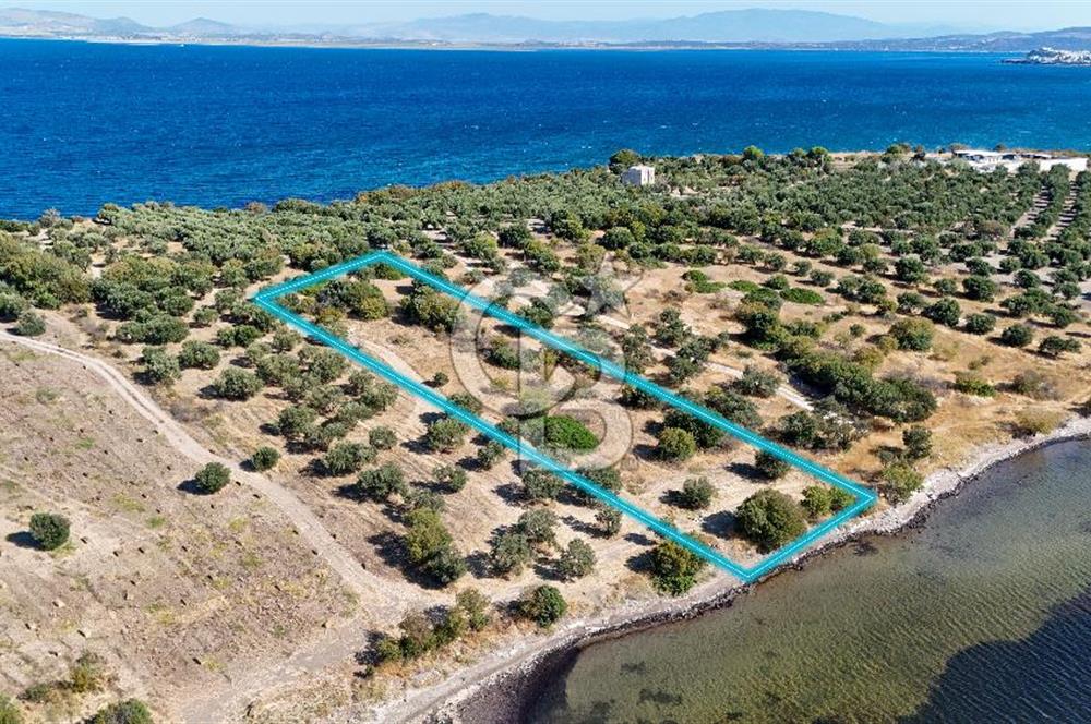 Aliağa Çaltılıdere Denize Sıfır Fiyat Avantajlı Satılık Tarla