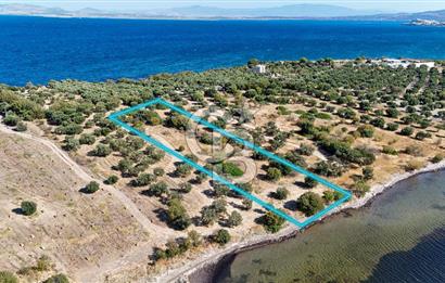 Aliağa Çaltılıdere Denize Sıfır Fiyat Avantajlı Satılık Tarla