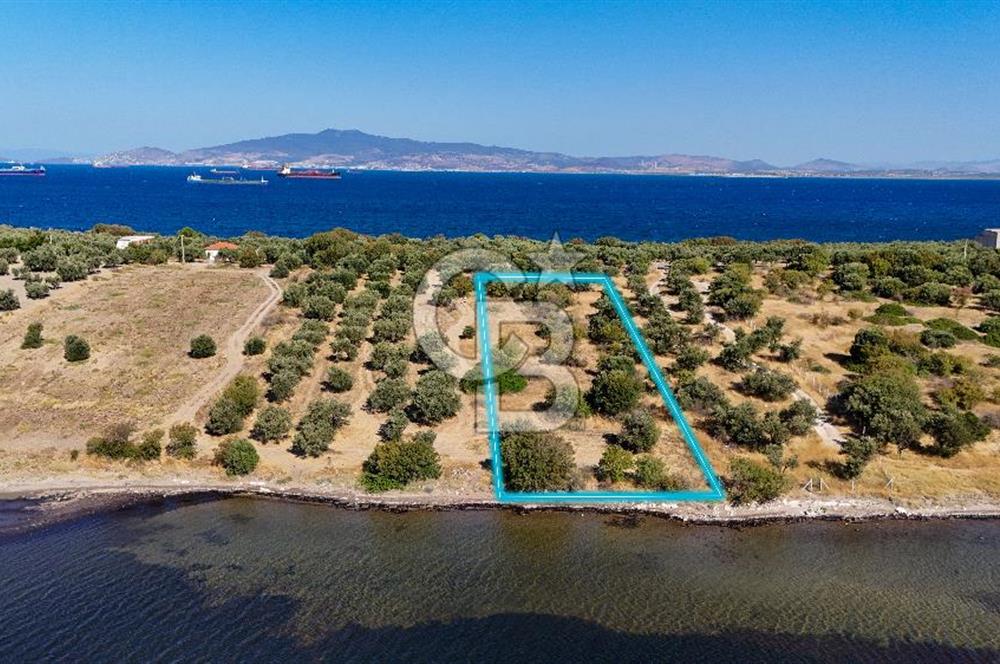 Aliağa Çaltılıdere Denize Sıfır Fiyat Avantajlı Satılık Tarla