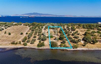 Aliağa Çaltılıdere Denize Sıfır Fiyat Avantajlı Satılık Tarla