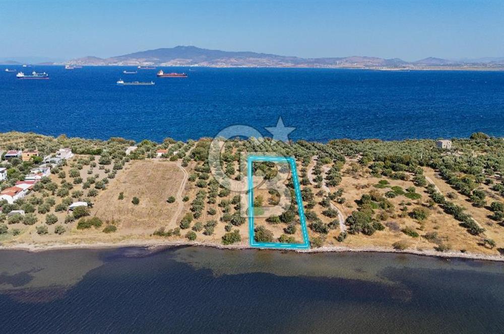 Aliağa Çaltılıdere Denize Sıfır Fiyat Avantajlı Satılık Tarla