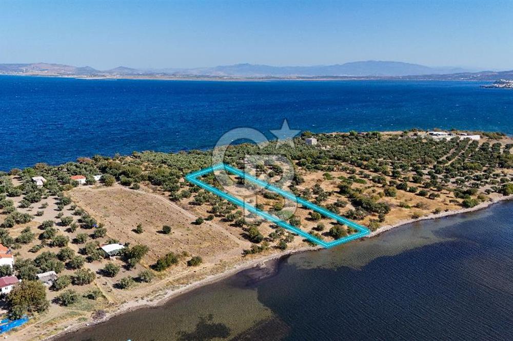 Aliağa Çaltılıdere Denize Sıfır Fiyat Avantajlı Satılık Tarla