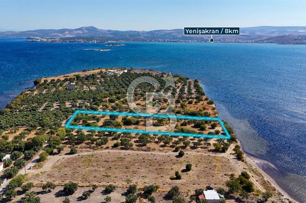 Aliağa Çaltılıdere Denize Sıfır Fiyat Avantajlı Satılık Tarla