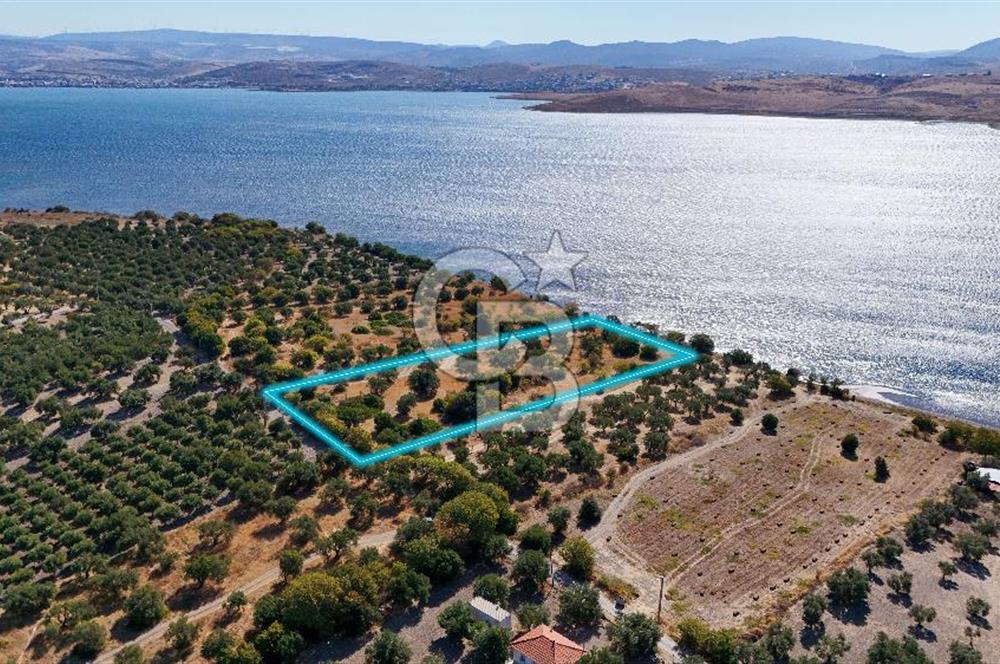 Aliağa Çaltılıdere Denize Sıfır Fiyat Avantajlı Satılık Tarla