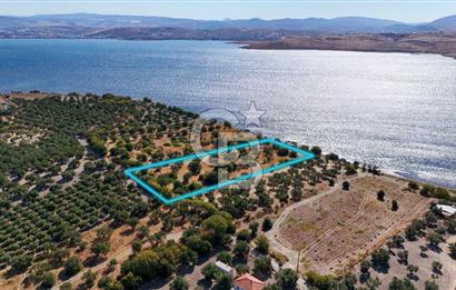 Aliağa Çaltılıdere Denize Sıfır Fiyat Avantajlı Satılık Tarla