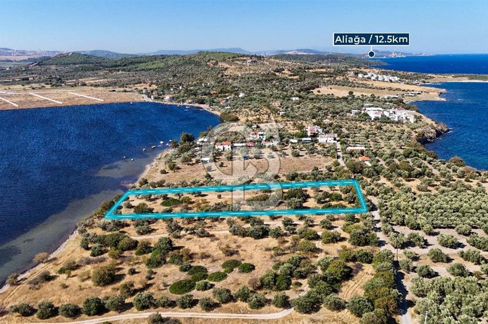 Aliağa Çaltılıdere Denize Sıfır Fiyat Avantajlı Satılık Tarla