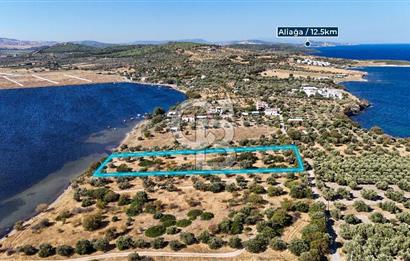 Aliağa Çaltılıdere Denize Sıfır Fiyat Avantajlı Satılık Tarla