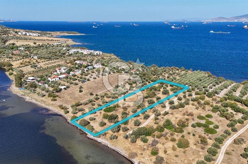 Aliağa Çaltılıdere Denize Sıfır Fiyat Avantajlı Satılık Tarla