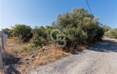 Aliağa Çaltılıdere Denize Sıfır Fiyat Avantajlı Satılık Tarla