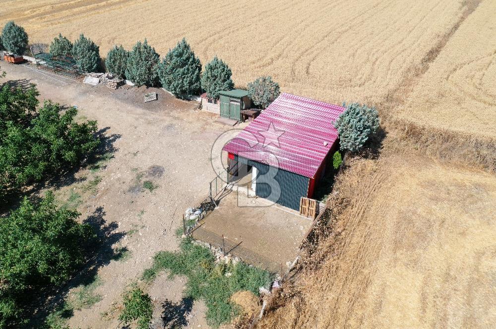 Tekirdağ Şarköy Tesisli ve Bağ Evli 105 Dönüm Satılık Cevizlik