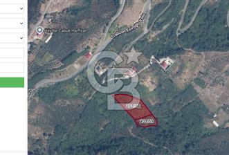 Trabzon Ortahisar Akyazı da Yola cephe 4,498m2 Arazı. - 4 - 378833