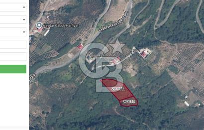 Trabzon Ortahisar Akyazı da Yola cephe 4,498m2 Arazı.