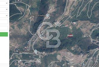 Trabzon Ortahisar Akyazı da Yola cephe 1673m2 Arazı. - 5 - 378832