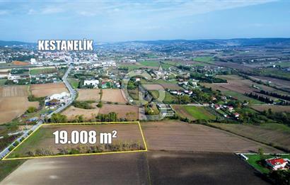 ÇATALCA KESTANELİKTE ANA YOLA SIFIR KONUMDA FIRSAT SATILIK TARLA