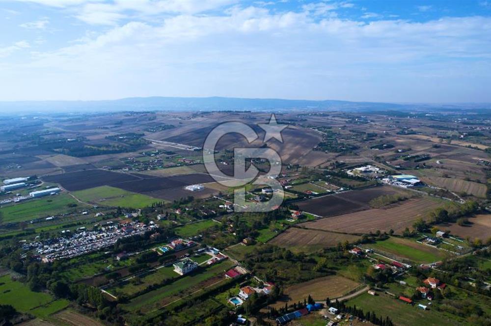 ÇATALCA KESTANELİKTE ANA YOLA SIFIR KONUMDA FIRSAT SATILIK TARLA