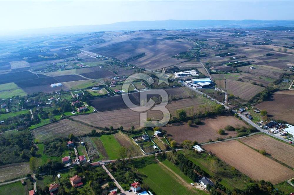 ÇATALCA KESTANELİKTE ANA YOLA SIFIR KONUMDA FIRSAT SATILIK TARLA