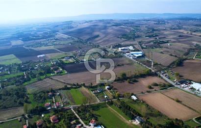 ÇATALCA KESTANELİKTE ANA YOLA SIFIR KONUMDA FIRSAT SATILIK TARLA