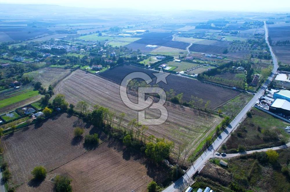 ÇATALCA KESTANELİKTE ANA YOLA SIFIR KONUMDA FIRSAT SATILIK TARLA