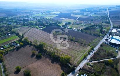 ÇATALCA KESTANELİKTE ANA YOLA SIFIR KONUMDA FIRSAT SATILIK TARLA