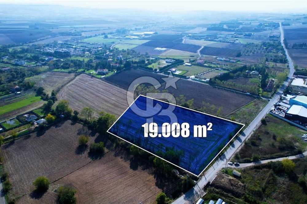 ÇATALCA KESTANELİKTE ANA YOLA SIFIR KONUMDA FIRSAT SATILIK TARLA