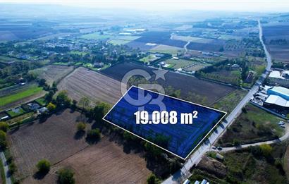 ÇATALCA KESTANELİKTE ANA YOLA SIFIR KONUMDA FIRSAT SATILIK TARLA