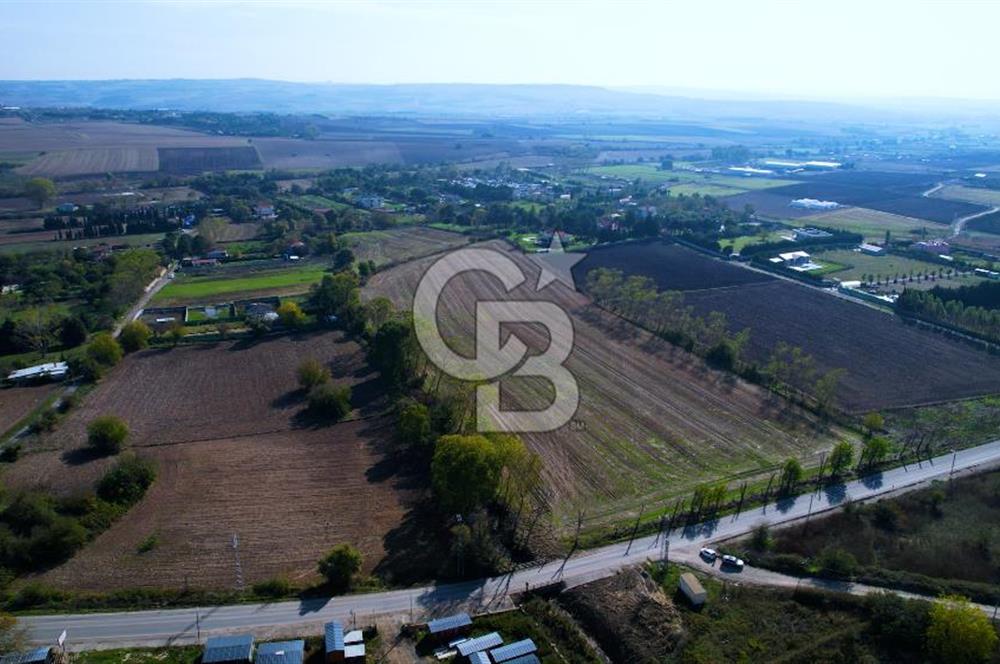 ÇATALCA KESTANELİKTE ANA YOLA SIFIR KONUMDA FIRSAT SATILIK TARLA