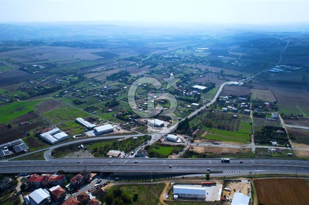 ÇATALCA KESTANELİKTE ANA YOLA SIFIR KONUMDA FIRSAT SATILIK TARLA